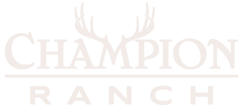 Champion Ranch: Premier Texas Hunting Ranch & Resort